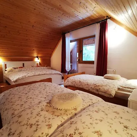 Via Mons * Mojstrana